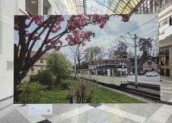 Charity Auktion Zur Fotoausstellung In Der Goethe Galerie In Jena 2026 024